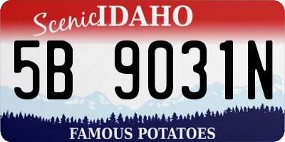 ID license plate 5B9031N