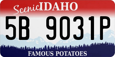 ID license plate 5B9031P