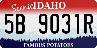 ID license plate 5B9031R