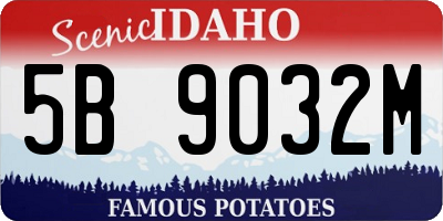 ID license plate 5B9032M