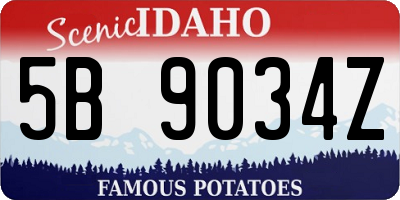 ID license plate 5B9034Z