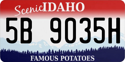 ID license plate 5B9035H
