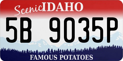 ID license plate 5B9035P