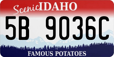 ID license plate 5B9036C