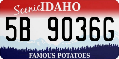 ID license plate 5B9036G
