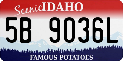 ID license plate 5B9036L