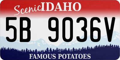 ID license plate 5B9036V