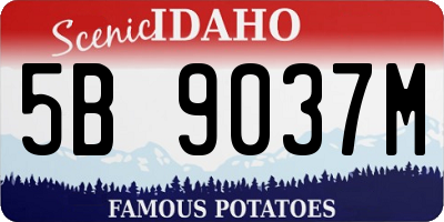 ID license plate 5B9037M