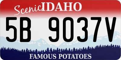 ID license plate 5B9037V