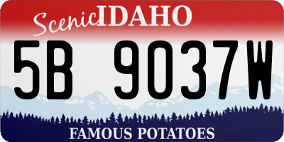 ID license plate 5B9037W