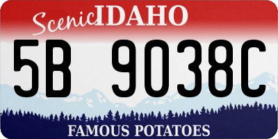 ID license plate 5B9038C
