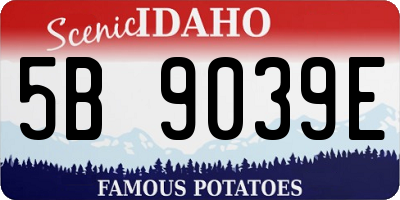 ID license plate 5B9039E