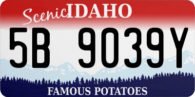 ID license plate 5B9039Y