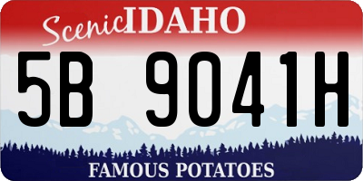 ID license plate 5B9041H
