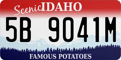 ID license plate 5B9041M