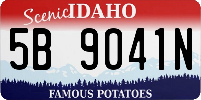 ID license plate 5B9041N