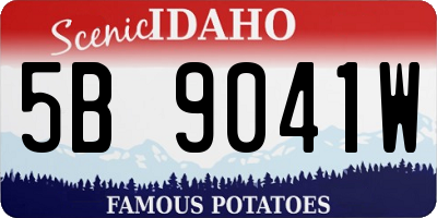ID license plate 5B9041W