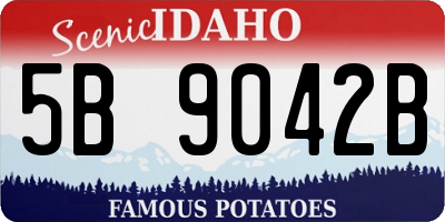 ID license plate 5B9042B
