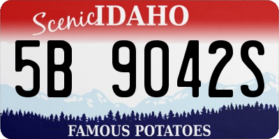 ID license plate 5B9042S