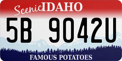 ID license plate 5B9042U