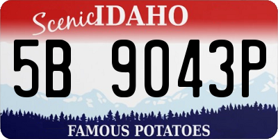 ID license plate 5B9043P