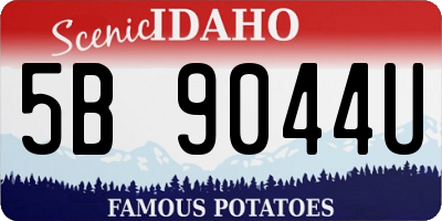 ID license plate 5B9044U