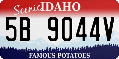 ID license plate 5B9044V