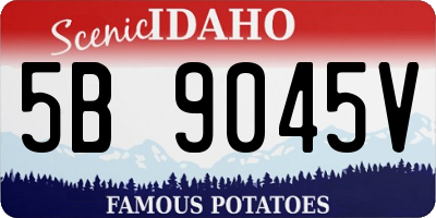 ID license plate 5B9045V