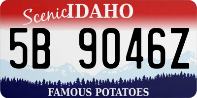 ID license plate 5B9046Z