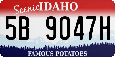 ID license plate 5B9047H