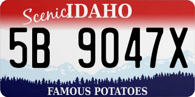 ID license plate 5B9047X