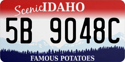 ID license plate 5B9048C