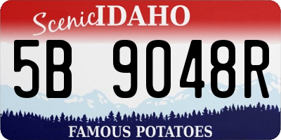 ID license plate 5B9048R