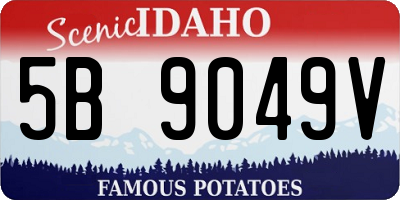 ID license plate 5B9049V