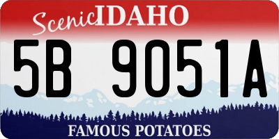 ID license plate 5B9051A