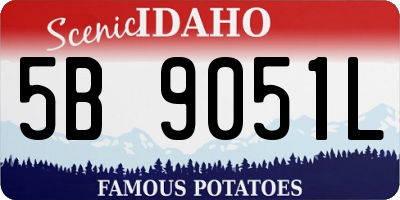 ID license plate 5B9051L