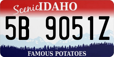 ID license plate 5B9051Z
