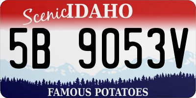 ID license plate 5B9053V