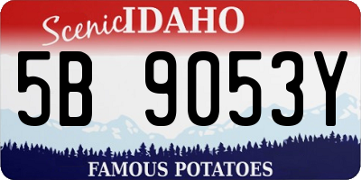 ID license plate 5B9053Y