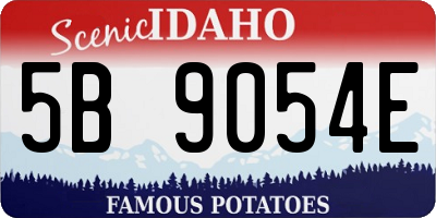 ID license plate 5B9054E