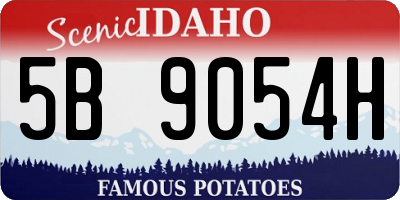 ID license plate 5B9054H