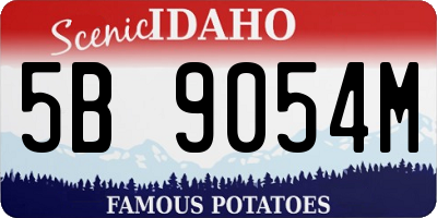 ID license plate 5B9054M