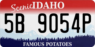 ID license plate 5B9054P