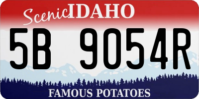 ID license plate 5B9054R