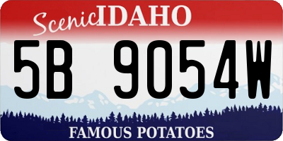 ID license plate 5B9054W