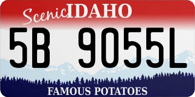 ID license plate 5B9055L