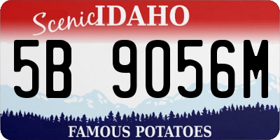 ID license plate 5B9056M