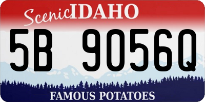 ID license plate 5B9056Q