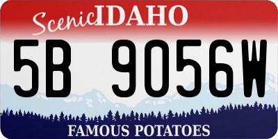 ID license plate 5B9056W