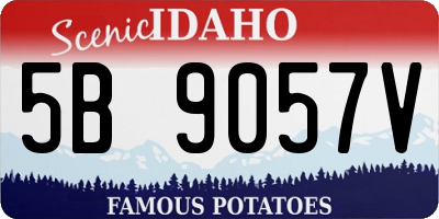 ID license plate 5B9057V
